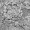 texture roccia 01